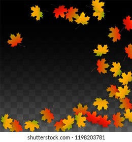 November  Vector Background with Golden Falling Leaves. Autumn Illustration with Maple Red, Orange, Yellow Foliage. Isolated Leaf on Transparent Background. Bright Swirl. Suitable for Banners.