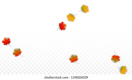 November  Vector Background with Golden Falling Leaves. Autumn Illustration with Maple Red, Orange, Yellow Foliage. Isolated Leaf on Transparent Background. Bright Swirl. Suitable for Banners.