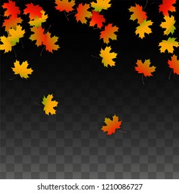 November  Vector Background with Golden Falling Leaves. Autumn Illustration with Maple Red, Orange, Yellow Foliage. Isolated Leaf on Transparent Background. Bright Swirl. Suitable for Banners.