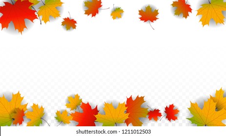 3,692 Fall Leaves Border Transparent Background Stock Illustrations 