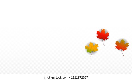 November  Vector Background with Golden Falling Leaves. Autumn Illustration with Maple Red, Orange, Yellow Foliage. Isolated Leaf on Transparent Background. Bright Swirl. Suitable for Covers.