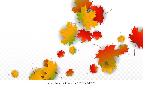 November  Vector Background with Golden Falling Leaves. Autumn Illustration with Maple Red, Orange, Yellow Foliage. Isolated Leaf on Transparent Background. Bright Swirl. Suitable for Covers.