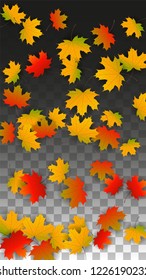 November  Vector Background with Golden Falling Leaves. Autumn Illustration with Maple Red, Orange, Yellow Foliage. Isolated Leaf on Transparent Background. Bright Swirl. Suitable for Posters.