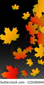 November  Vector Background with Golden Falling Leaves. Autumn Illustration with Maple Red, Orange, Yellow Foliage. Isolated Leaf on Transparent Background. Bright Swirl. Suitable for Posters.