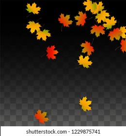 November  Vector Background with Golden Falling Leaves. Autumn Illustration with Maple Red, Orange, Yellow Foliage. Isolated Leaf on Transparent Background. Bright Swirl. Suitable for Posters.