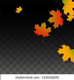 November  Vector Background with Golden Falling Leaves. Autumn Illustration with Maple Red, Orange, Yellow Foliage. Isolated Leaf on Transparent Background. Bright Swirl. Suitable for Cards.