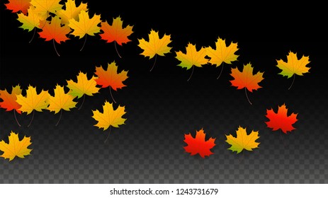 November  Vector Background with Golden Falling Leaves. Autumn Illustration with Maple Red, Orange, Yellow Foliage. Isolated Leaf on Transparent Background. Bright Swirl. Suitable for Flyers.