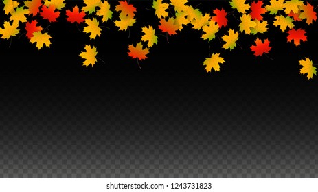 November  Vector Background with Golden Falling Leaves. Autumn Illustration with Maple Red, Orange, Yellow Foliage. Isolated Leaf on Transparent Background. Bright Swirl. Suitable for Cards.