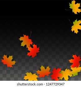 November  Vector Background with Golden Falling Leaves. Autumn Illustration with Maple Red, Orange, Yellow Foliage. Isolated Leaf on Transparent Background. Bright Swirl. Suitable for Banners.