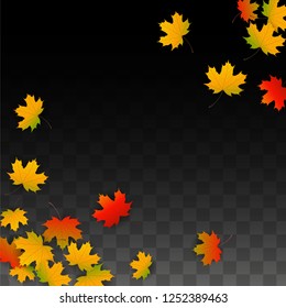 November  Vector Background with Golden Falling Leaves. Autumn Illustration with Maple Red, Orange, Yellow Foliage. Isolated Leaf on Transparent Background. Bright Swirl. Suitable for Covers.