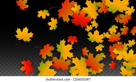 November  Vector Background with Golden Falling Leaves. Autumn Illustration with Maple Red, Orange, Yellow Foliage. Isolated Leaf on Transparent Background. Bright Swirl. Suitable for Covers.
