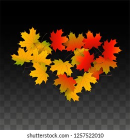 November  Vector Background with Golden Falling Leaves. Autumn Illustration with Maple Red, Orange, Yellow Foliage. Isolated Leaf on Transparent Background. Bright Swirl. Suitable for Cards.