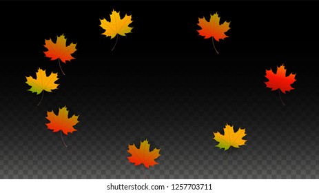 November  Vector Background with Golden Falling Leaves. Autumn Illustration with Maple Red, Orange, Yellow Foliage. Isolated Leaf on Transparent Background. Bright Swirl. Suitable for Banners.