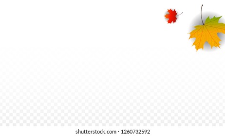 November  Vector Background with Golden Falling Leaves. Autumn Illustration with Maple Red, Orange, Yellow Foliage. Isolated Leaf on Transparent Background. Bright Swirl. Suitable for Banners.