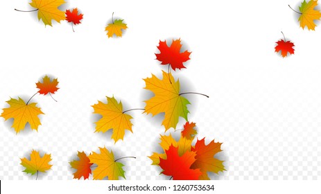 53,307 Falling Maple Leaves Images, Stock Photos & Vectors | Shutterstock