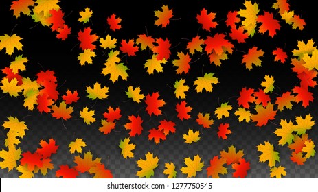 November  Vector Background with Golden Falling Leaves. Autumn Illustration with Maple Red, Orange, Yellow Foliage. Isolated Leaf on Transparent Background. Bright Swirl. Suitable for Flyers.