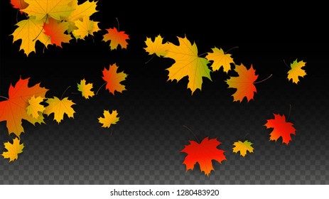 November  Vector Background with Golden Falling Leaves. Autumn Illustration with Maple Red, Orange, Yellow Foliage. Isolated Leaf on Transparent Background. Bright Swirl. Suitable for Covers.