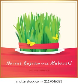 Novruz Bayram Holiday design background. Nowruz Azerbaijani greeting card. Muslim national celebration. Iranian new year with green grass semeni.
