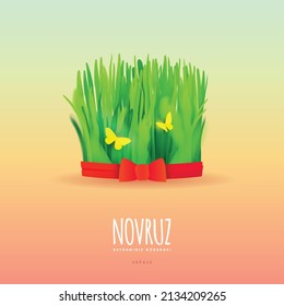Novruz Bayrami Holiday design background. Nowruz Azerbaijani greeting card. Iranian new year with green grass semeni.