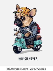 now or never slogan with cartoon dog riding scooter vector illustration