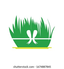Nowruz holiday grass semeni on plate with red ribbon. Flat color style design vector illustration, isolated on white background