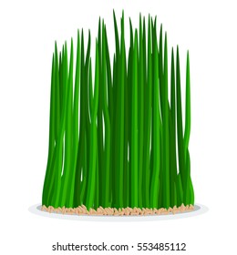 Nowruz holiday grass semeni on plate. Flat color style design vector