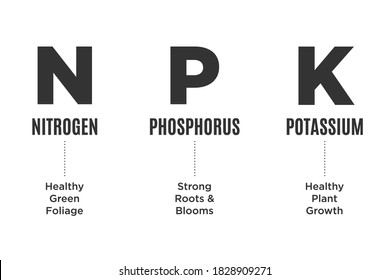 NPK, Garden Fertilizer Chart, Nitrogen, Phosphorous, Potassium, Information Vector Illustration Background