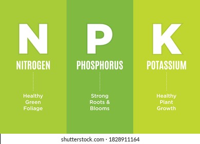 NPK, Garden Fertilizer Chart, Nitrogen, Phosphorous, Potassium, Information Vector Illustration Background