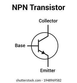 NPN transistor schematic symbol vector