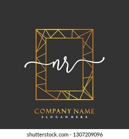 NR Initial Handwriting logo template vector