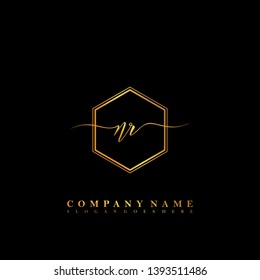NR Initial luxury handwriting logo vector