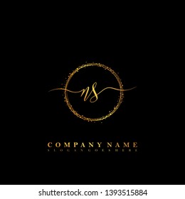 NS Initial luxury handwriting logo vector