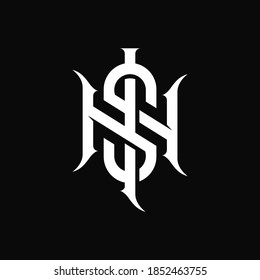 NS initial name logo elegant