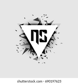 NS Logo