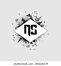 NS Logo