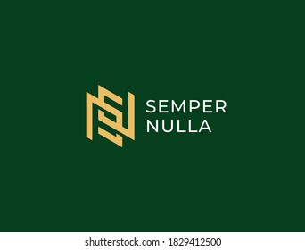 NS or SN. Monogram of Two letters N&S or S&N. Luxury, simple, minimal and elegant NS, SN logo design. Vector illustration template.