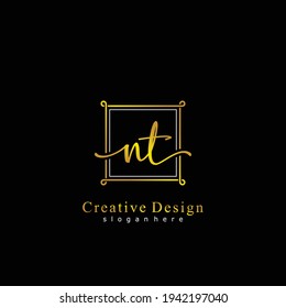 NT Initial calligraphy handwritten logo. Handwritten alphabet in the logo template. Letters and Alphabet for signature, wedding, fashion, floral and botanical logo design 