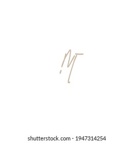 Logo de escritura a mano inicial NT para identidad