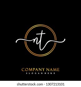 NT Initial Handwriting logo template vector