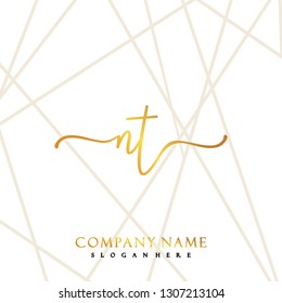 NT Initial Handwriting logo template vector