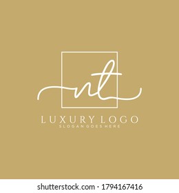 NT Modelo de logotipo de escritura a mano inicial vectorial