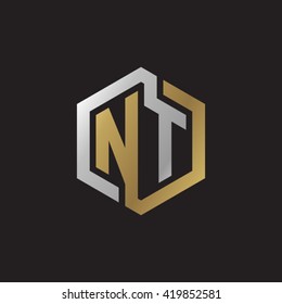 NT initial letters looping linked hexagon elegant logo golden silver black background