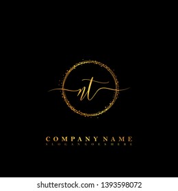 NT Initial luxury handwriting logo vector