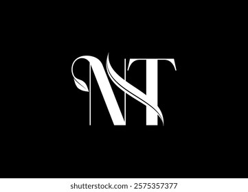 NT Logo Design Creative and Modern Logo Design
