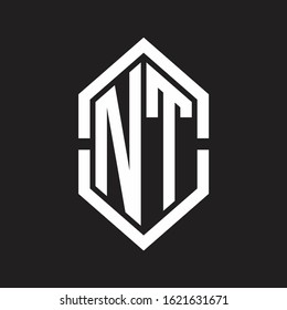 NT Logo monogram with hexagon shape and outline slice style with black and white