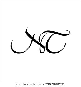 NT logo, Vector, Initial modern, Symbols icon eps.10