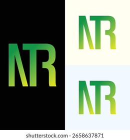 O logotipo do NTR combina letras geométricas fortes com um layout moderno, simbolizando confiabilidade, inovação e profissionalismo — perfeito para marcas em tecnologia, engenharia ou indústrias corporativas.