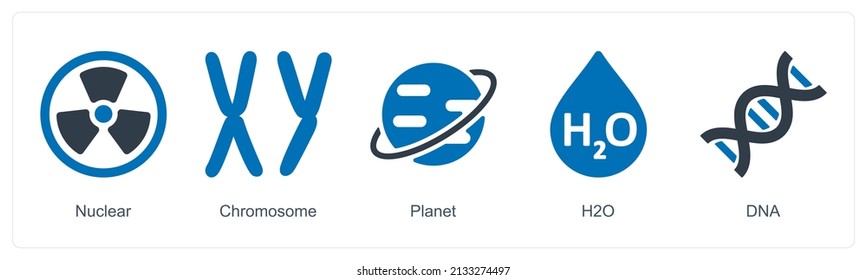 Nuclear And Chromosome Icon Concept