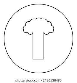 Nuclear explosion burst mushroom explosive destruction icon in circle round black color vector illustration image outline contour line thin style