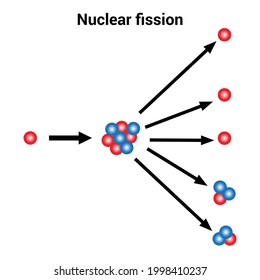 Nuclear Fission Diagram Physics Stock Vector (Royalty Free) 1998410237 ...